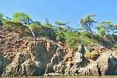 IMG_8870