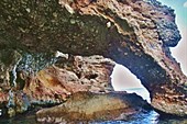 IMG_9401