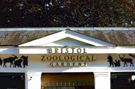 87809-Бристольский зоопарк
