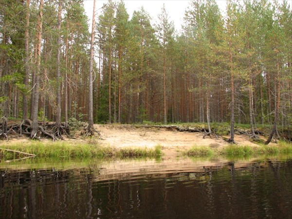 бережной бор