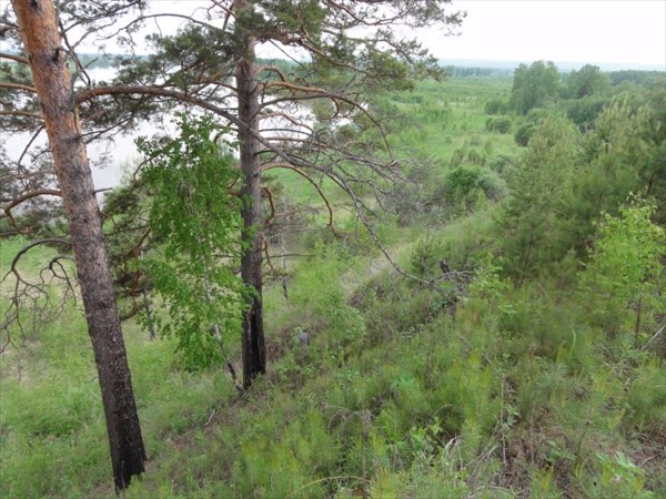 Лезем в гору за камнями..