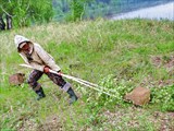 Тащу камень для бани волокушей.