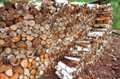 Глобальная заготовка дров на сезон
