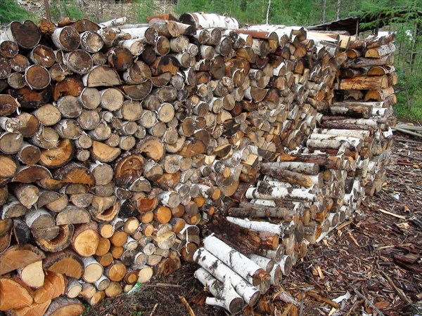 Глобальная заготовка дров на сезон