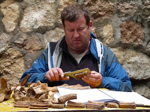 У входа польские товарищи описыват древние зубы и кости