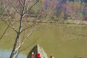 баня на курьих ножках