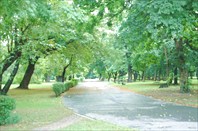 Утро в парке Неплугот