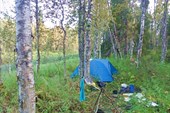 Стоянка в лесу