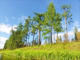 DSC00753