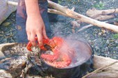 Отваривать в морской воде, пока не покраснеют.