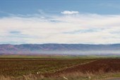 Bekaa