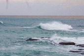 IMG_8507