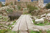 IMG_8552