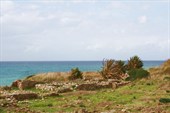 IMG_8571