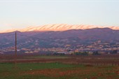 IMG_9123