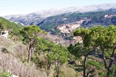IMG_9160
