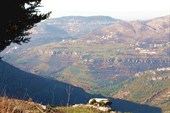 IMG_9176