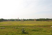 IMG_9426