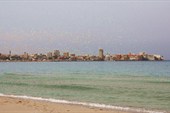 IMG_9455