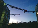 IMG_1666