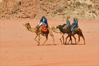 По пустыне не только ходят-национальный парк "Вади-Рам"
