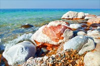 Соленые кораллы-Мёртвое море