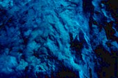 Bisevo-blue-cave-2