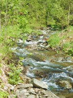 Новый альбом