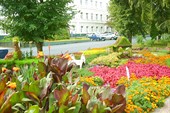 Ставрополь город цветов