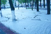 p1030444