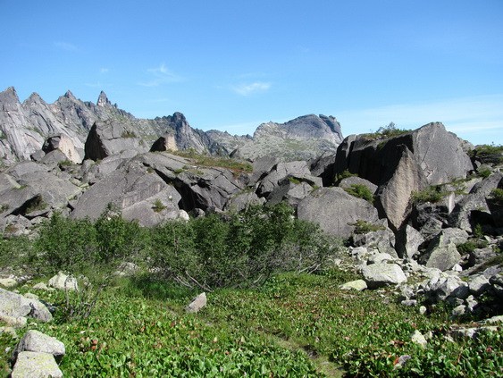 Впереди `Чемоданник`