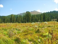 Гора Тушканчик вид с тропы