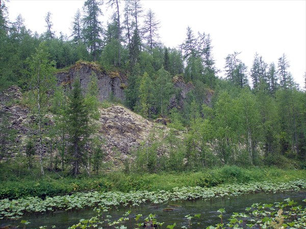 Курумы и скалы