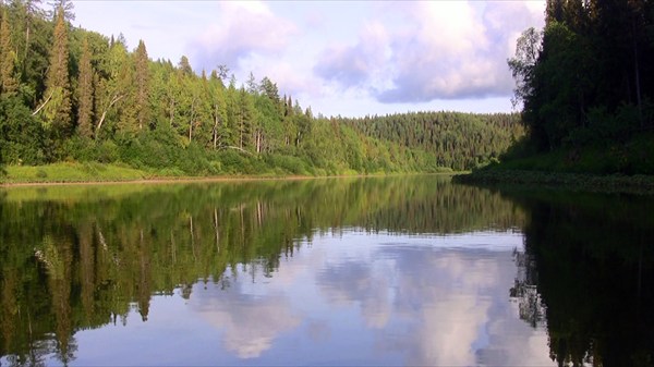 Пижма в районе метеостанции Лёвкинской