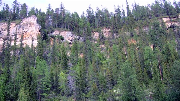 Вековая тайга и скалы