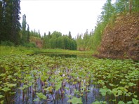 Скальный участок Валса необычайно живописен.