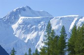 Белуха