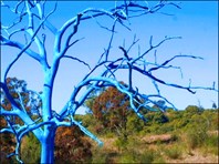 Bluetree-Голубое дерево