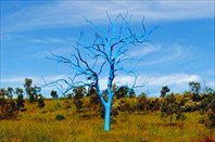 Bluetree2-Голубое дерево