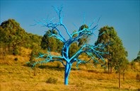 Bluetree6-Голубое дерево