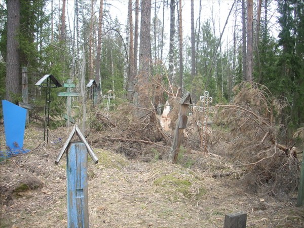 Старообрядческое кладбище у деревни Ямки