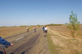 IMG_1133