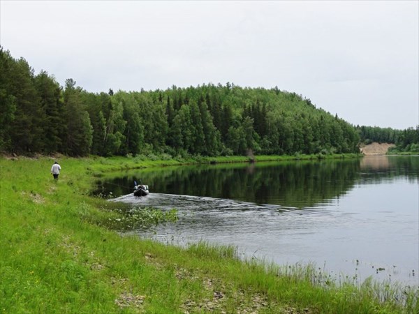 Бечевник