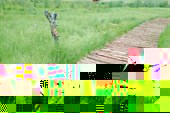 IMG_20180716_162150