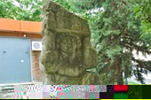 DSC03800