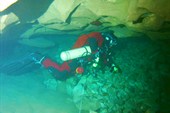 Орел в Goul tannerie (Бург сант Андеол)