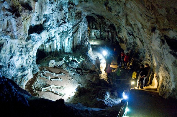 Первый "житель" пещеры мамонтенок Коля.