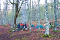 Дружно согреваемся.