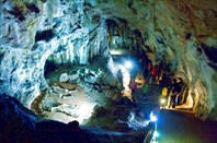 Первый "житель" пещеры мамонтенок Коля.