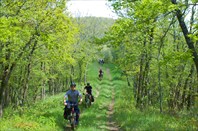 У бузиновских казарм.